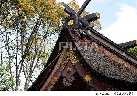 池田八坂神社本殿-5 45295094