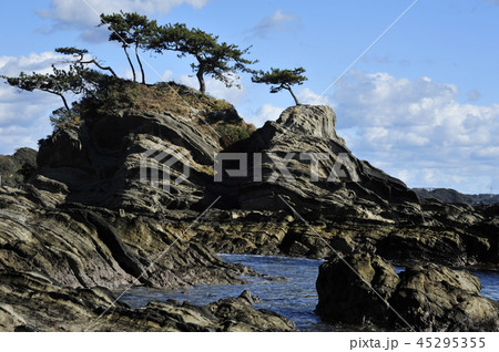 荒崎 荒崎 45295355