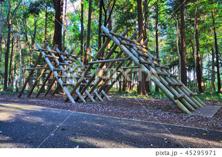 増尾城址総合公園 歩道と木組みの遊具 45295971
