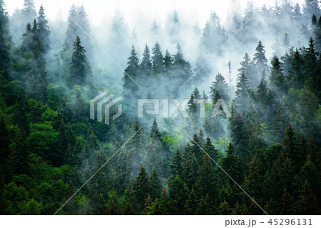 Misty mountain landscape 45296131