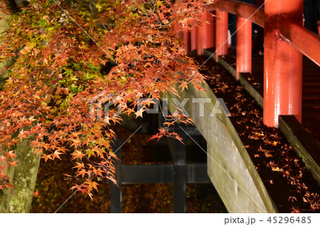 河鹿橋付近の紅葉風景 河鹿橋付近の紅葉風景 45296485