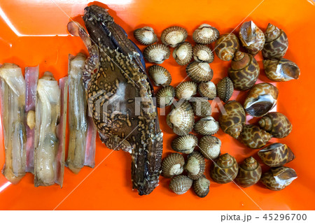Fresh seafood in chabu store ready to eating Fresh seafood in chabu store ready to eating 45296700