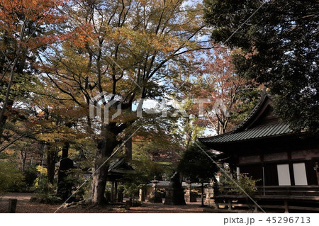 一の矢八坂神社 45296713