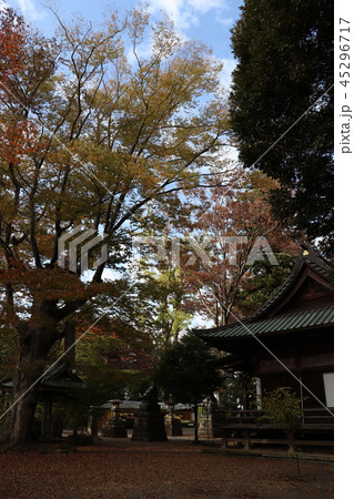 一の矢八坂神社 45296717