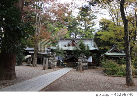 一の矢八坂神社 一の矢八坂神社 45296740