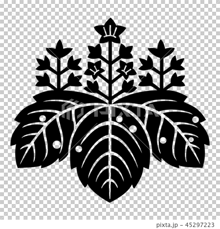 吉良氏 斑入り五七桐 吉良氏 斑入り五七桐 45297223