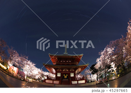 寺と夜桜と星 45297665