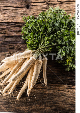 Close-up parsnip with parsley top on wooden board Close-up parsnip with parsley top on wooden board 45298120