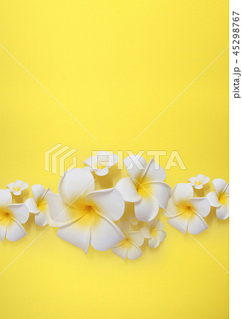 水 夏 泡 45298767