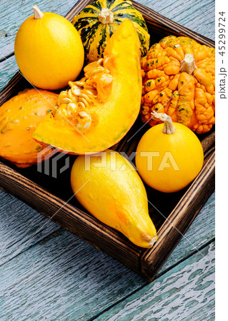 Autumn pumpkin in box 45299724