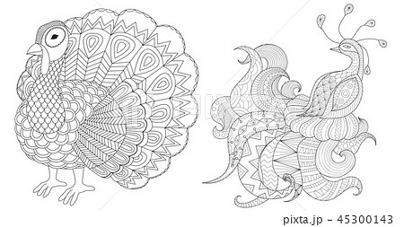Turkey and peacock collection for coloring book pa Turkey and peacock collection for coloring book pa 45300143