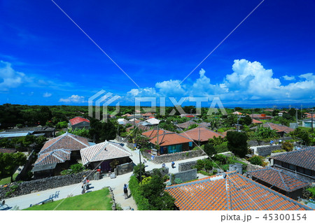 竹富島の集落を望む 竹富島の集落を望む 45300154