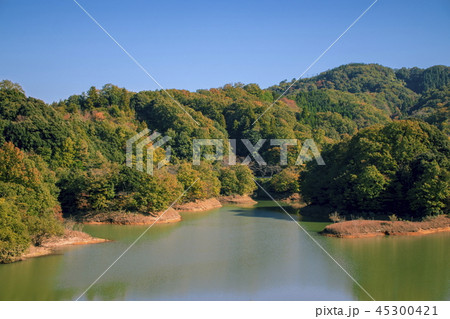 緑水湖_鳥取県日南町_ダム湖 緑水湖_鳥取県日南町_ダム湖 45300421