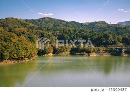 緑水湖_鳥取県日南町_ダム湖 緑水湖_鳥取県日南町_ダム湖 45300427