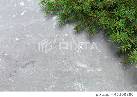 Christmas gray cement background with fir tree 45300880