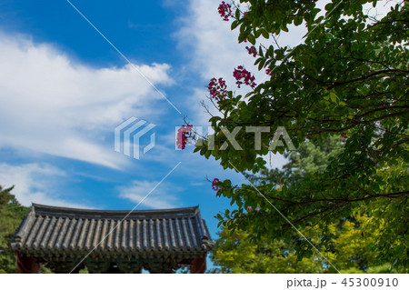 仏国寺 建築物 韓屋 45300910