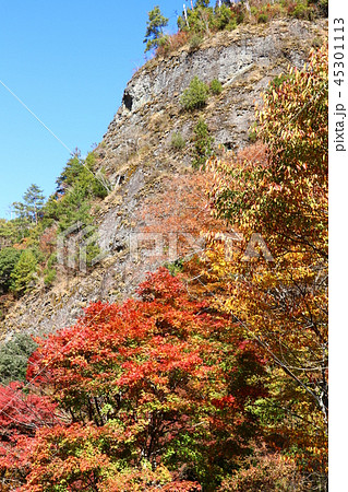 紅葉の古岩屋 45301113