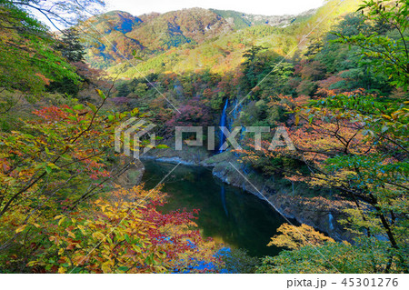 回顧の滝 45301276