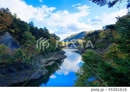 回顧の吊橋より塩原ダム湖周辺の紅葉を望む 回顧の吊橋より塩原ダム湖周辺の紅葉を望む 45301616
