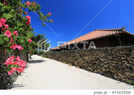 竹富島の集落 45302000