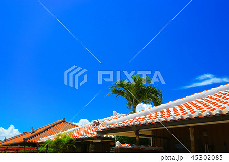 竹富島の集落 45302085