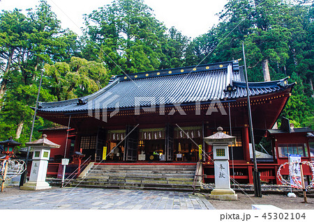 新緑の日光二荒山神社　世界遺産　【栃木県日光市】 45302104