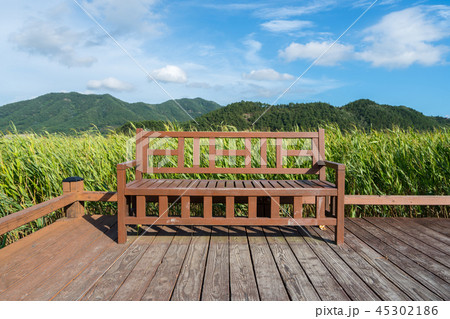 椅子 いす 葦原 45302186