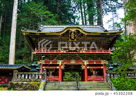 新緑の日光山輪王寺　世界遺産　【栃木県日光市】 45302208