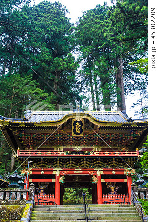 新緑の日光山輪王寺　世界遺産　【栃木県日光市】 45302209
