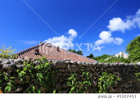 竹富島の集落、赤がわら屋根の民家 45302453