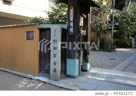 栄閑院　杉田玄白 45303272