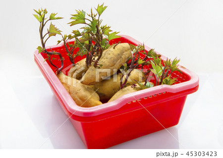 刈り取る 刈り取り 刈り入れ 45303423