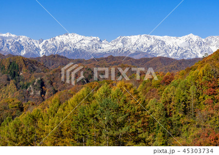 信州の風景　紅葉と新雪の北アルプス　長野県小川村 45303734