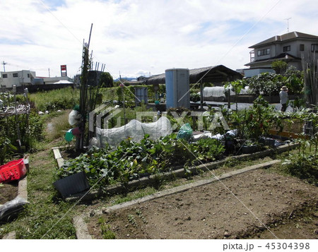 上吉田ふれあい菜園-2 上吉田ふれあい菜園-2 45304398