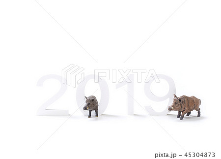 年賀状素材2019 亥年 いのしし 仲良し家族 年賀状素材2019 亥年 いのしし 仲良し家族 45304873