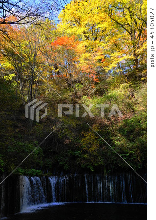 10月 軽井沢55白糸の滝の紅葉の写真素材