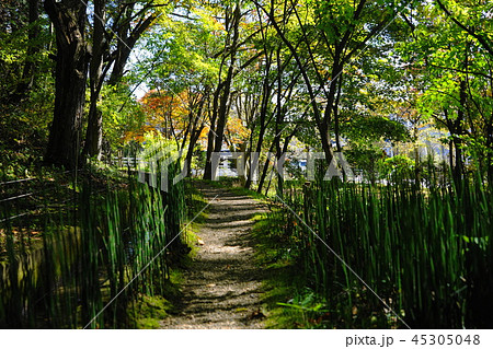 10月 軽井沢36トクサの小道旧近衛文麿別荘あめりか屋建築・市村記念館 10月 軽井沢36トクサの小道旧近衛文麿別荘あめりか屋建築・市村記念館 45305048