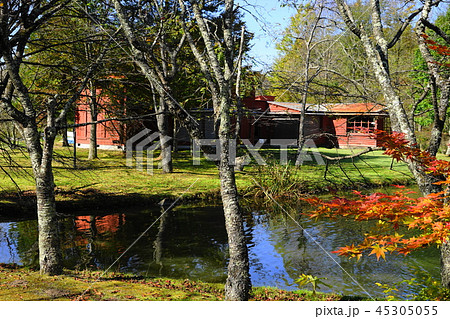 10月　軽井沢29ﾚｰﾓﾝﾄﾞ夏の家ﾍﾟｲﾈ美術館･軽井沢ﾀﾘｱｾﾝ 45305055
