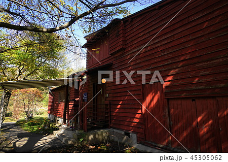 10月　軽井沢24ﾚｰﾓﾝﾄﾞ夏の家ﾍﾟｲﾈ美術館･軽井沢ﾀﾘｱｾﾝ 45305062