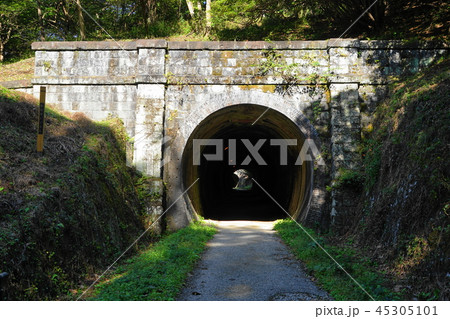 10月 安中08アプトの道4号墜道・遊歩道 10月 安中08アプトの道4号墜道・遊歩道 45305101