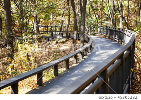 秋 蘆原区 ブルアムサン 45305232