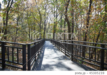 秋 蘆原区 ブルアムサン 45305239