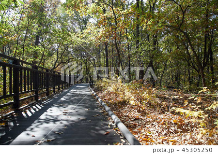 秋 蘆原区 ブルアムサン 45305250