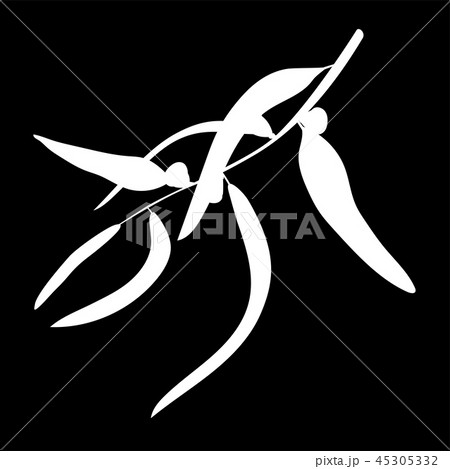 Eucalyptus leaves isolated logo icon. silhouette. Eucalyptus leaves isolated logo icon. silhouette. 45305332