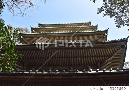 龍口寺五重塔　藤沢市 45305860