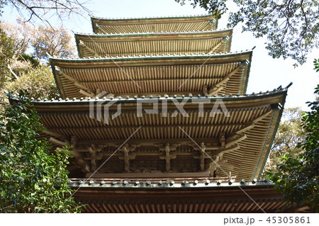 龍口寺五重塔　藤沢市 45305861