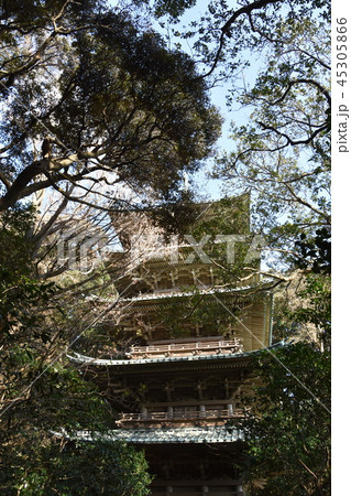 龍口寺五重塔　藤沢市 45305866