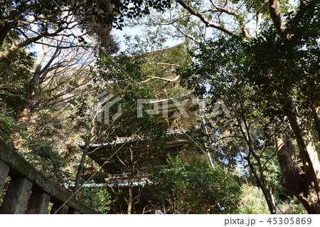 龍口寺五重塔 藤沢市 龍口寺五重塔 藤沢市 45305869