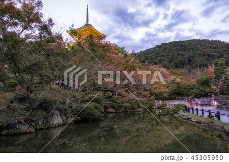 kiyomizudera pagoda and pond 45305950