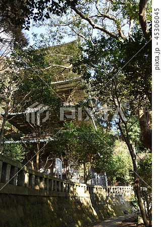 龍口寺五重塔　藤沢市 45306045